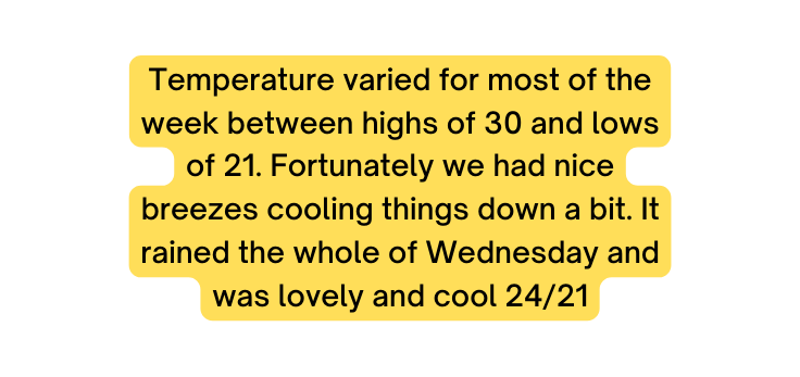 Temperature varied for most of the week between highs of 30 and lows of 21 Fortunately we had nice breezes cooling things down a bit It rained the whole of Wednesday and was lovely and cool 24 21